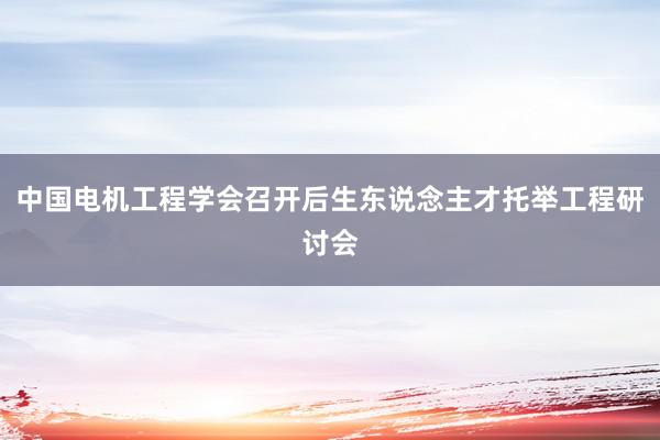 中国电机工程学会召开后生东说念主才托举工程研讨会