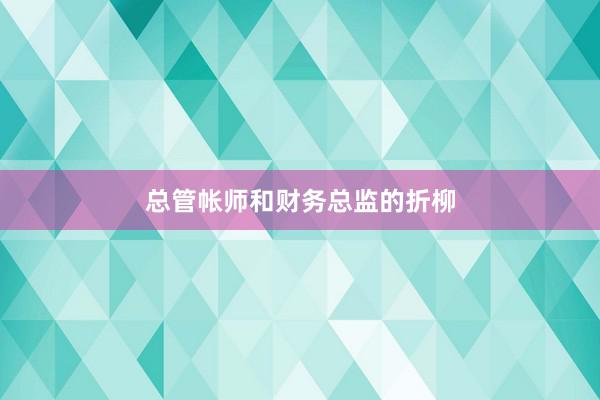 总管帐师和财务总监的折柳