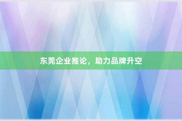 东莞企业推论，助力品牌升空