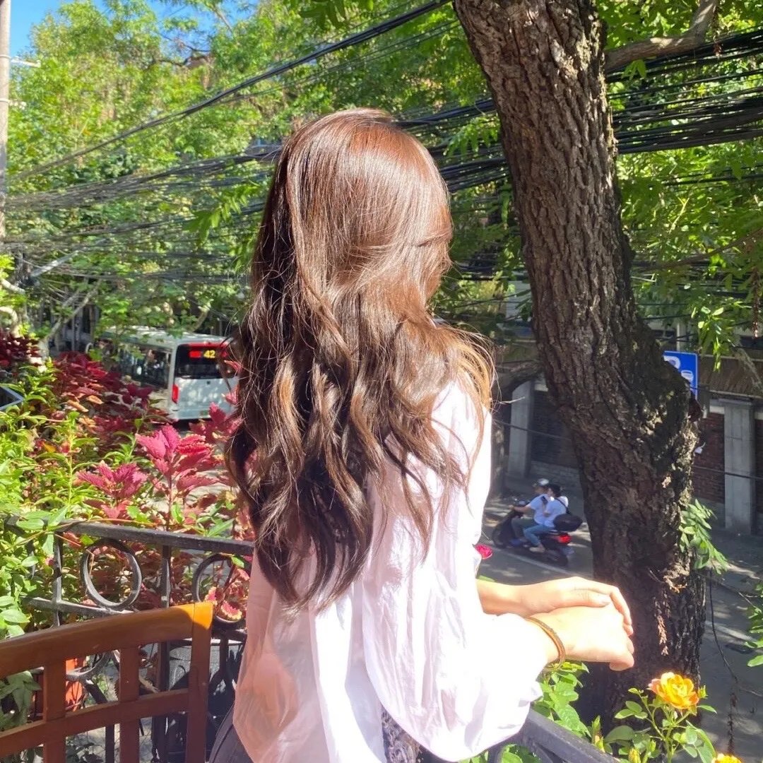 神印王座外传大龟甲师 下